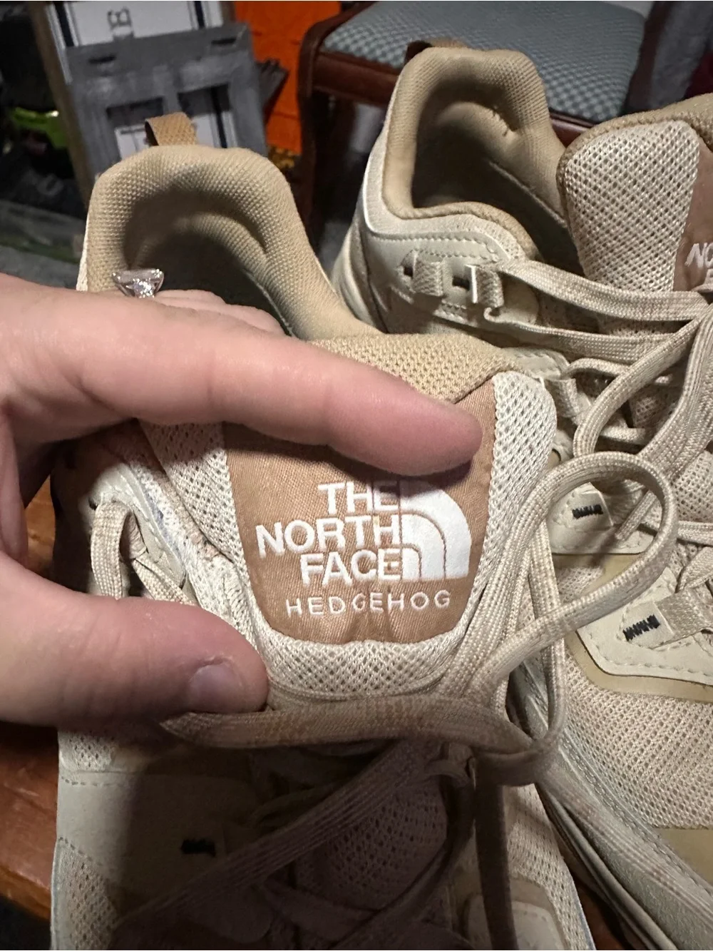 The Northface hedgehog 3 waterproof shoes